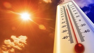 9634A167 DDFD 4800 B284 80BF3D4B8FF1