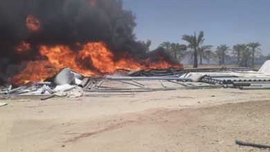 965DED9F 1C36 41FE 8DE7 4CC5447205C1