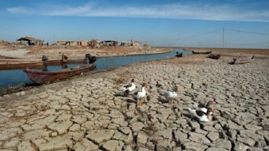 في ذي قار.. تحذيرات من خطر انخفاض مناسيب مياه الاهوار الوسطى 5 96FC5F11 02E3 45D8 89AB 06C81A70ACA7