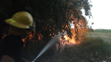 97D970AE A2A0 441F 8C71 8ED3607D4E78