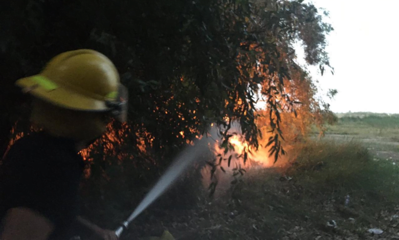 97D970AE A2A0 441F 8C71 8ED3607D4E78