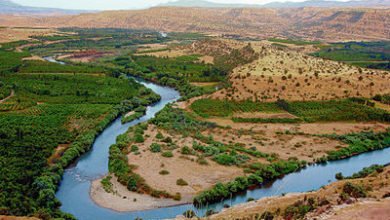 9BCA25D3 D80F 4AE1 B200 D849C26E8D58