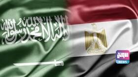 تحركات في مصر تطالب بالإفراج عن نوبيين محتجزين في السعودية 6 9F521C5F 15FC 4696 8275 087DDAA0F7CF