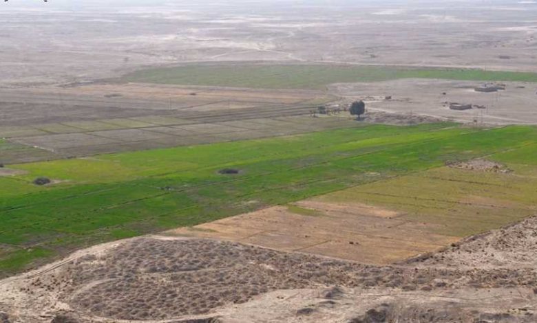 9FD36566 5E59 4C15 AB8F 33D3CDCE8310