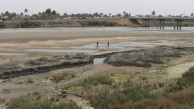 A5B0E731 A632 469F A371 45BD54CABA38