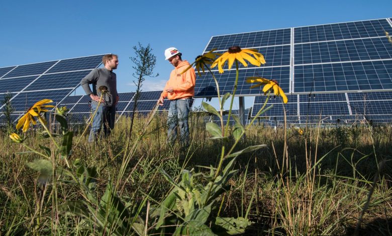 العراق يدخل مضمار الطاقة عبر اتفاقية استراتيجية مع الامارات 1 A5F652F2 F935 4370 900C 07ADB2DE7B8E