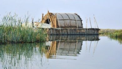 A6A6977E 4CCA 467F 8753 FA759584B494