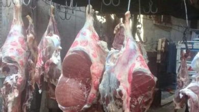 A87F53B1 5131 47BD 85AF 343745D66931