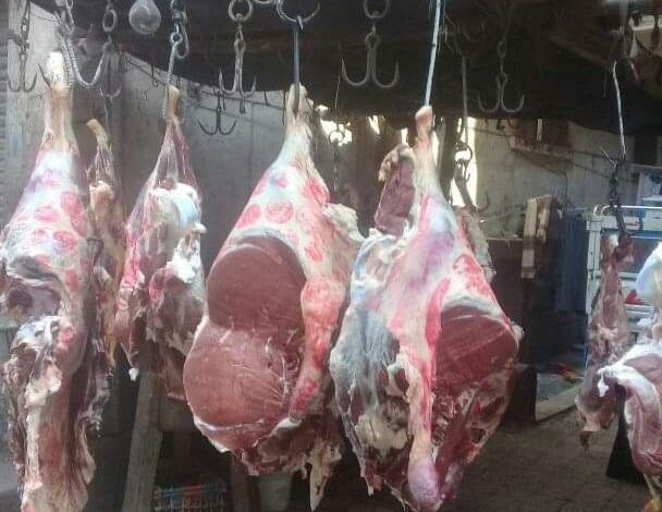 A87F53B1 5131 47BD 85AF 343745D66931