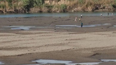 A8F319D4 691C 4984 8AA8 82BDFEFF6402