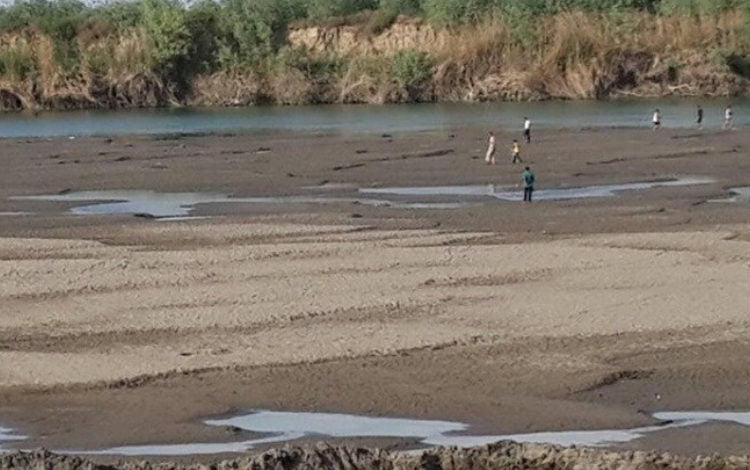 A8F319D4 691C 4984 8AA8 82BDFEFF6402