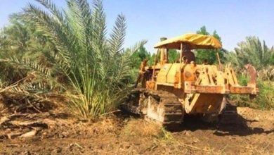 A91EFC2A C4A8 4B84 B3D9 BEF9BF220F62