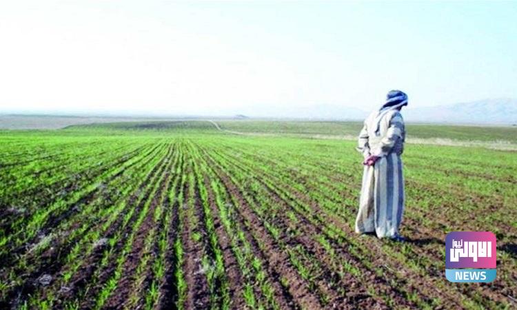 توزيع مستحقات الفلاحين للعام الماضي في صلاح الدين 1 A945C746 5D57 434D A29D DCE556CDEA8B