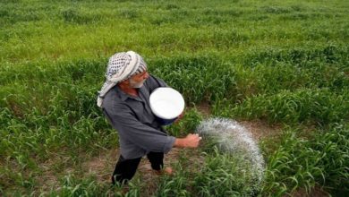 لجنة نيابية تكشف أبرز تعديلات قانون إيجار الأراضي الزراعية 2 AB5E4D2D 15EE 4256 975F 42CBD51189FD