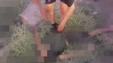 BE858787 AEE9 470A 9C78 DAEBD2930A88