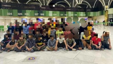 C0EF0E89 55BB 4AC5 9E0A 3B856E56772D