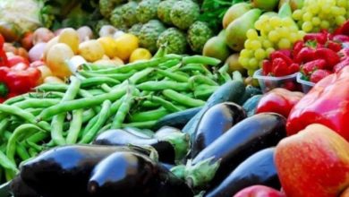 C1C8DAEE 9EFC 44AC 8B79 140CC8A328C7