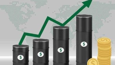 C2D8B433 E18B 4408 97FB 6496DD84AD3C