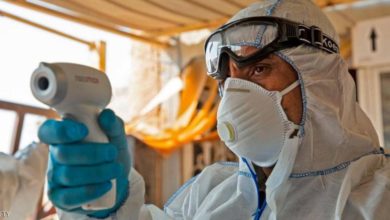 C623B880 FAB5 4D91 BCD0 76A567556536