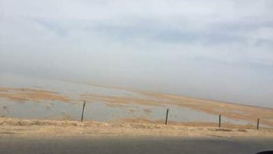 C77C80AC 7C61 41E5 AF89 7FB4EE70E70D