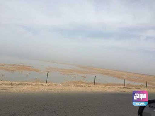 C77C80AC 7C61 41E5 AF89 7FB4EE70E70D