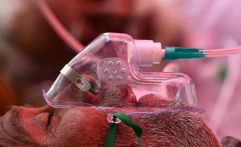 C941D875 75B2 48F3 AA4D 17885CCC4651