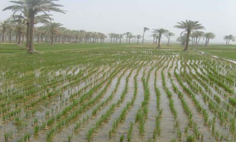 C9B1DB96 E72A 4375 8F5F B08599987925