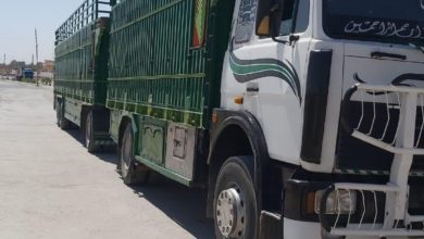 CCAE41CE C79C 4428 9FFF CCE013942B90