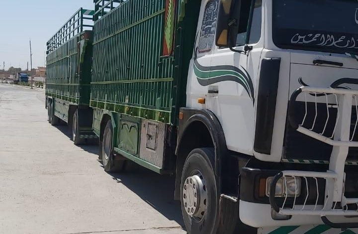 CCAE41CE C79C 4428 9FFF CCE013942B90