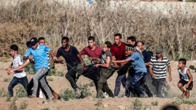 CEFF9CD3 5597 4277 9059 903325D9BE1B