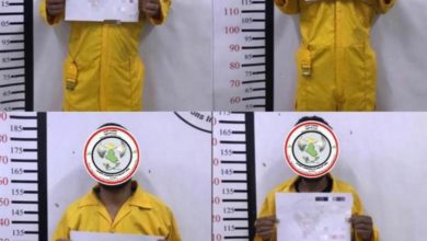 CF1254D7 0998 47D8 9C5A 1C4EDBAB487F