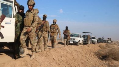 D29A47D1 DB9F 4BC8 A6E2 754A65133918