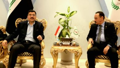 D4479196 7D65 4710 8106 A884D167900D