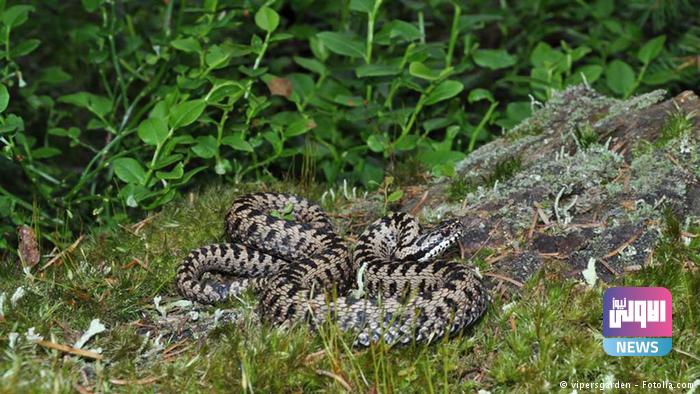 D4C6AEFE 83B8 4EDC A42A 8FD16FCA165E