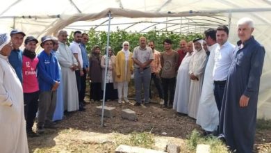 D712E4C6 1B8F 4FEE 96B5 C3D701982B5D