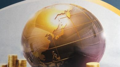 D856655D F8E0 4D0F 91AE 8A0AE5FC0431