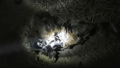 الاعلام الامني : احباط عملية ارهابية في صلاح الدين 6 DA16324C DF4C 4E06 8449 AED6B5AEB3E3