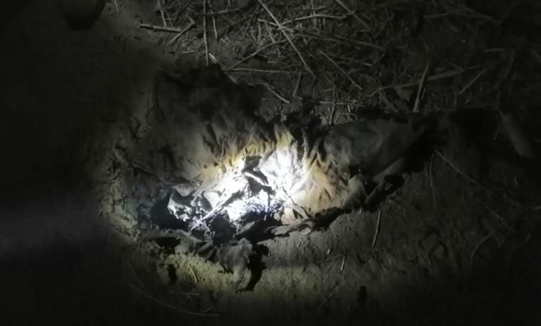 الاعلام الامني : احباط عملية ارهابية في صلاح الدين 1 DA16324C DF4C 4E06 8449 AED6B5AEB3E3