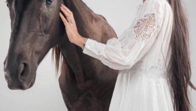 DA956E81 55AA 452B 8732 0EAF328D4A70