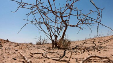 الزراعة النيابية: العراق يفقد سنوياً 100 ألف دونم من أراضيه 2 DE8F56E2 A3ED 45F5 867B 069E4F7B552C