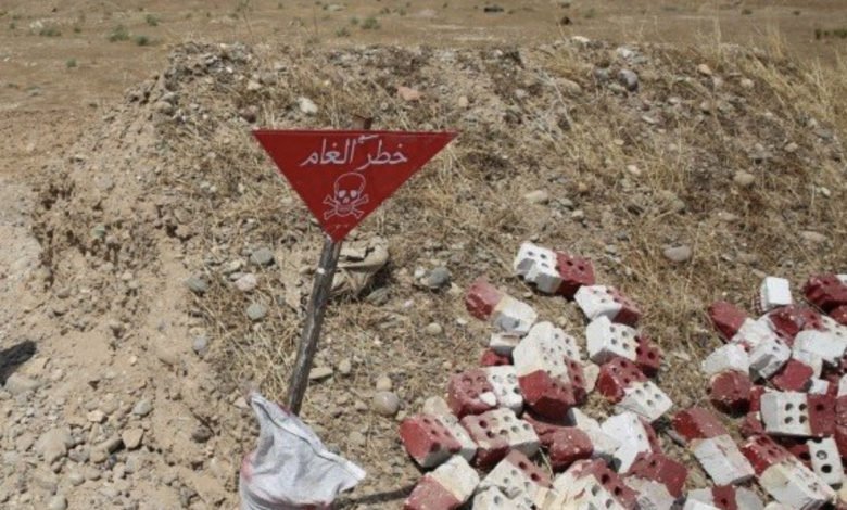 DEE35714 2DA2 4135 B45C CA19351023CB