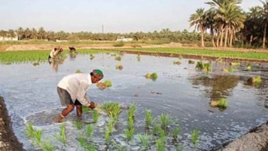 DF364EF3 76AE 453B AF58 BF5F3D426DD4