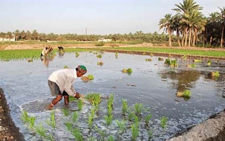 DF364EF3 76AE 453B AF58 BF5F3D426DD4