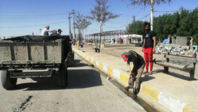 E16F02C6 62B6 40C8 AF59 5DFBC2037D3B