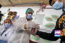 E78492DB 6B73 4242 B4E8 5F282A4EE632