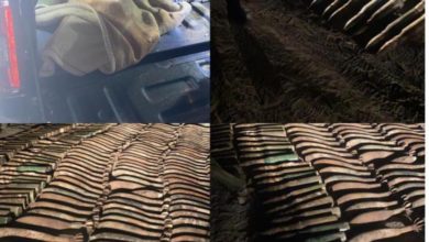 EAF311AA 01C4 4DBF A51D 22272780C2A4