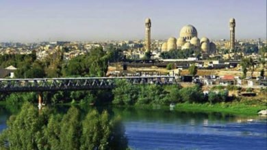 ECD9E572 E542 4DFC 95CB 76884490F1B9