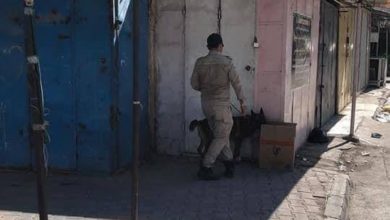 EDAD5049 58C4 42A2 AB66 9084CF6F6FC9