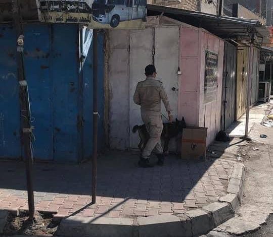 EDAD5049 58C4 42A2 AB66 9084CF6F6FC9