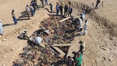 F0218311 2577 434E 9DB7 B8B3F94E82F6